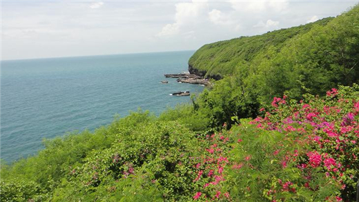 ���ލu ����������