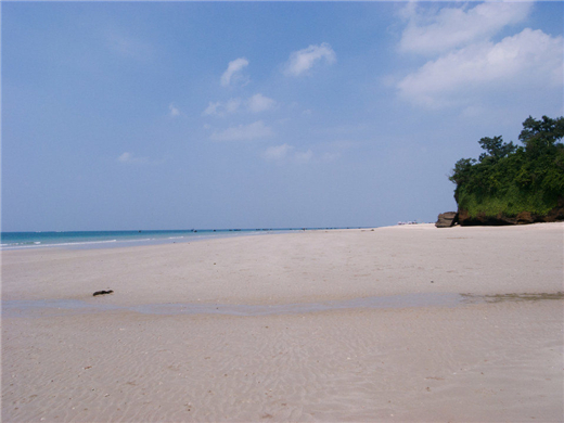 �����y�� ����������