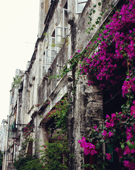 �����Ͻ� �V������������