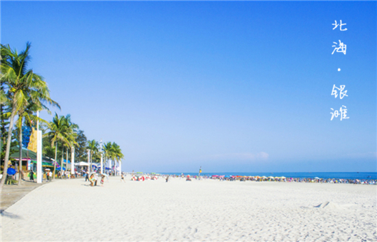 �����y�� ����������