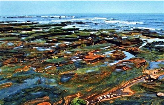 ��ʞ� �V���������ξW(w��ng)