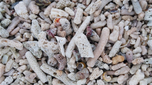 ɺ��ʯ �V������������