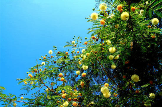 Ұ�� �V������������