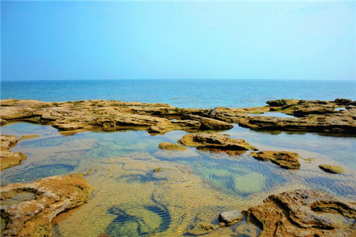 ��ʞ� �V������������