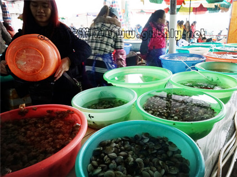 �Ј� �V������������ �V���������ξW(w��ng)