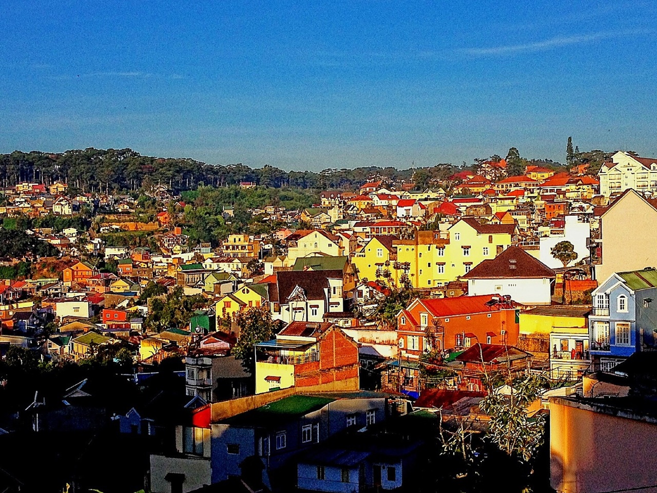 �V������������ �V���������ξW(w��ng)