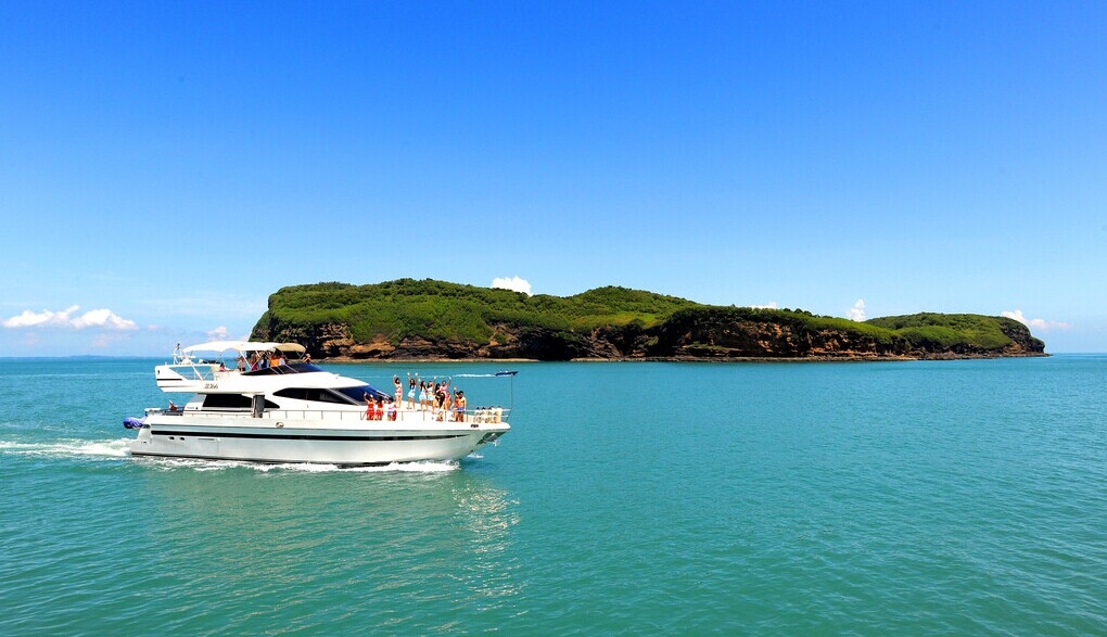 �V������������ ���ލu