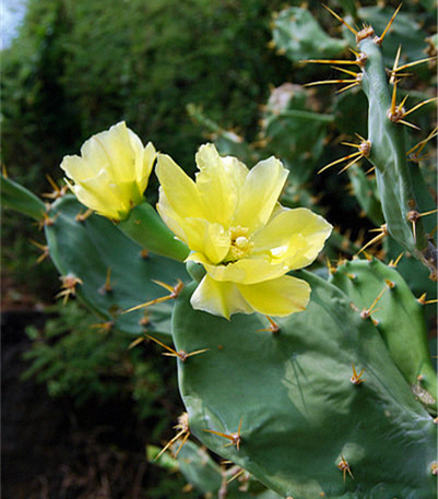 �V������������ ���ލu