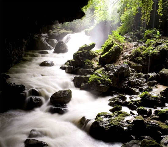  �V������������ �����������ٲ�