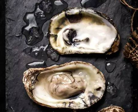 �V������������ ��ϖĵϠ