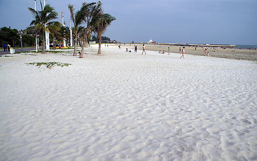 �V������������ ���(l��i)���ҵĳ���