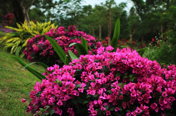 ���ލu �V������������