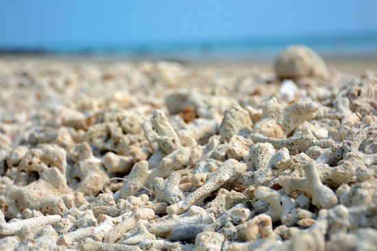 �V������������ ���ލu����