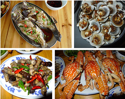 �V������������ ���ލu����