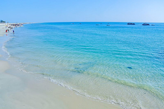 �V������������ ���ލu����