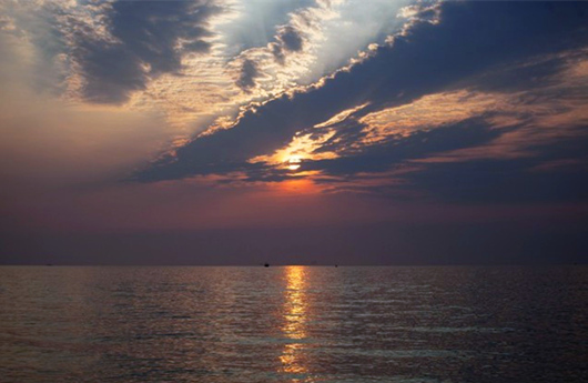 �V������������ ���ލu����