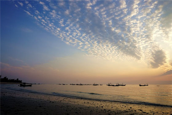 �V������������ ���ލu����