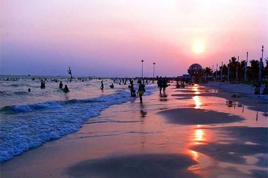 �V������������ �������ι���