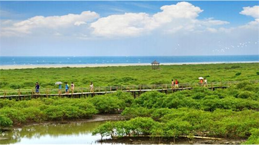 �������V������������