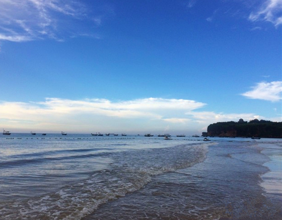 �����������V������������