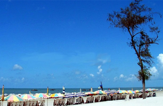 �����������V������������