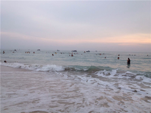 �����y�����V������������