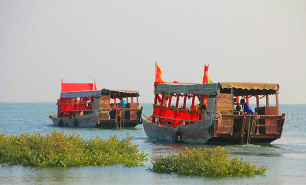 �����D�����V������������