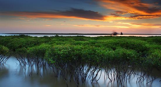 �����������V������������