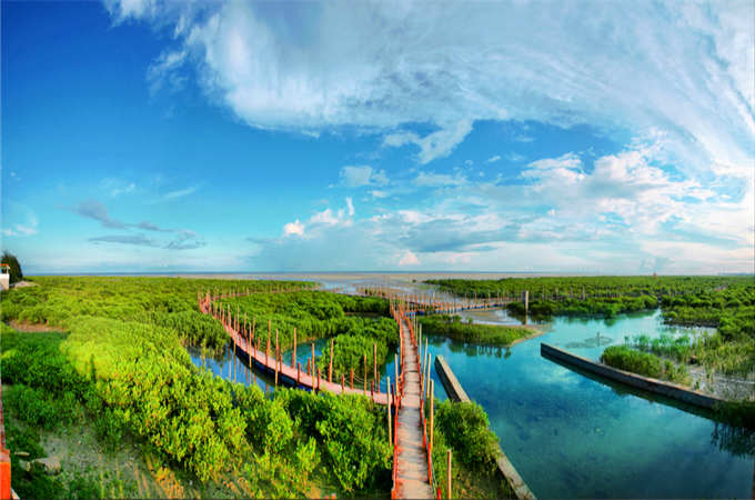 �������V������������