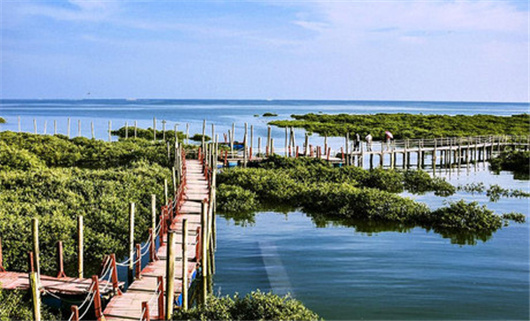 �����������V������������