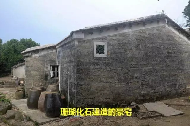 ���ލu��ɺ��ʯ���V������������