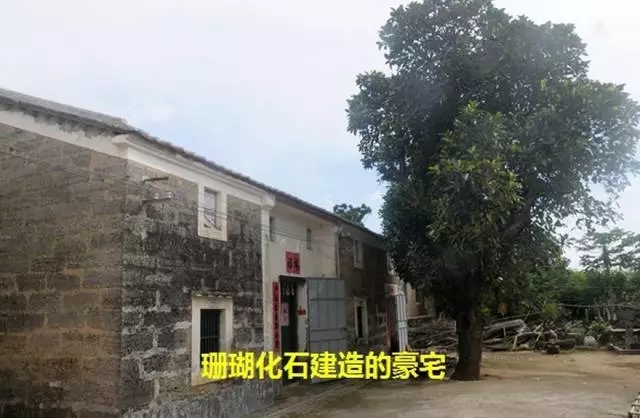 ���ލu��ɺ��ʯ���V������������