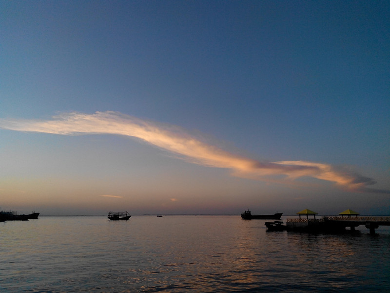 �������V������������