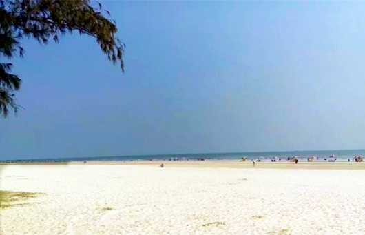 ���������������y�����V������������