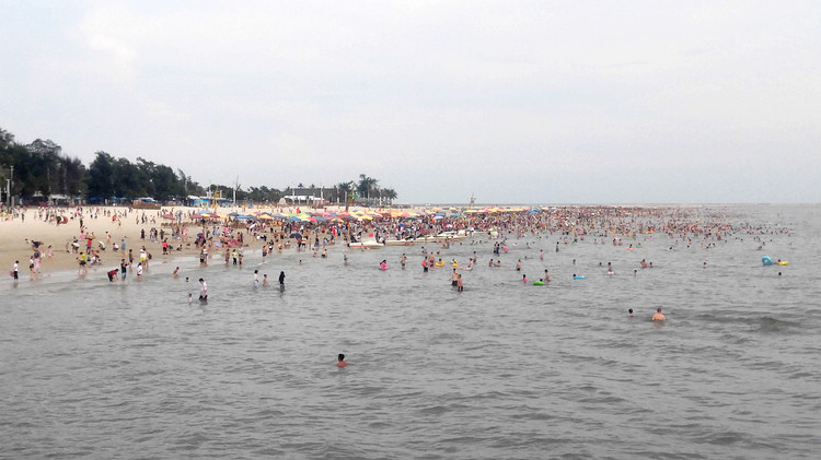 �����������V������������