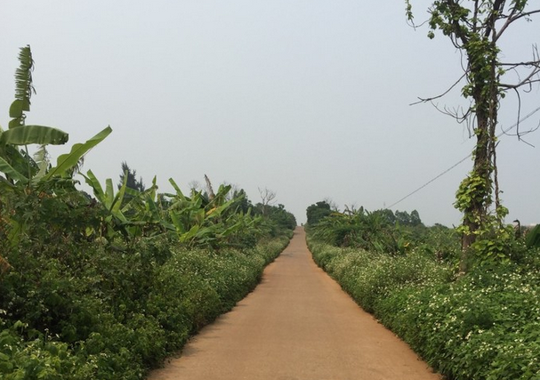 ���ލu�������V������������