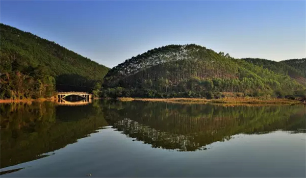 �����������V������������