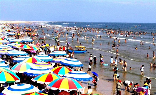 �����������V������������