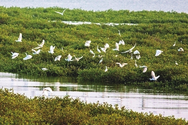 �����������V������������