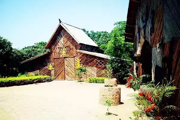 �����D�����V������������