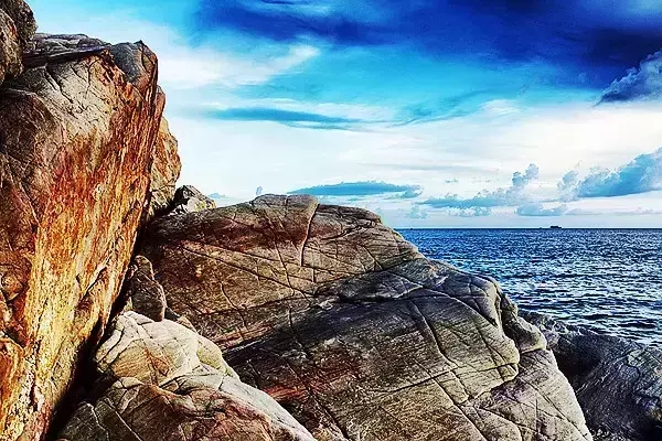 �����D�����V������������