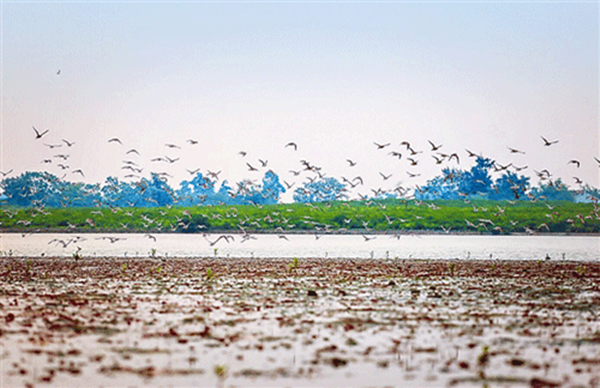 ���������Ǎu���V������������