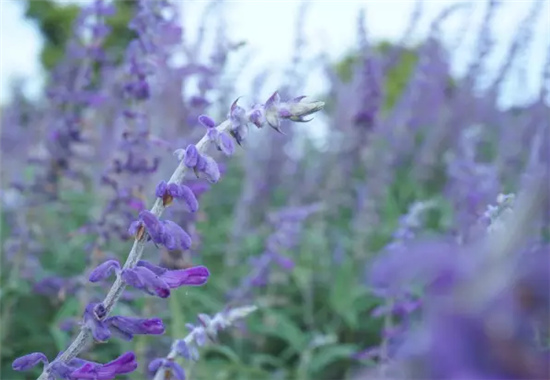 �������h(hu��n)�����V������������