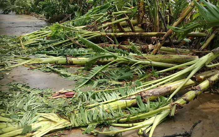 �������ލu���V������������