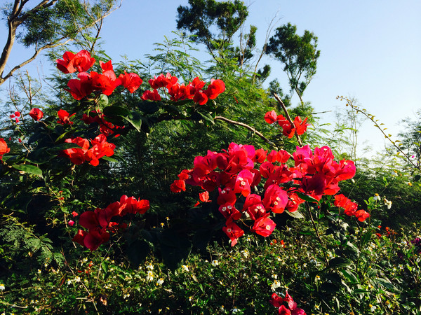 ���ލu���V������������