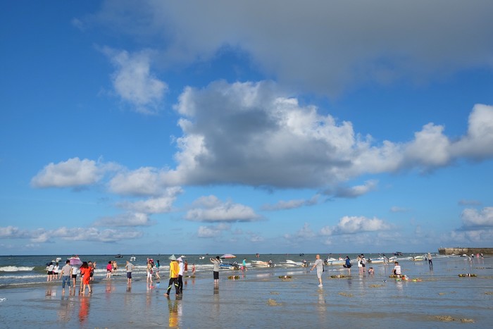 �����y�����V������������