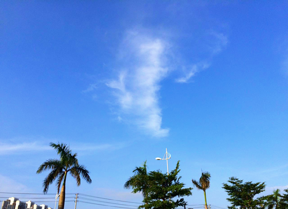 �������V������������