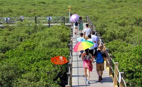 ������������V������������