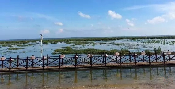 ������������V������������