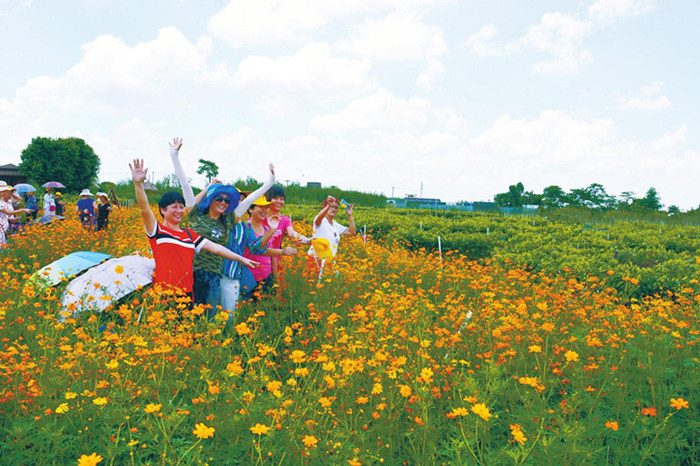 �������������֣��V������������